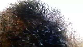 Horny hahal piękna busty pussy fuck dojrzałe kobiety erotyka